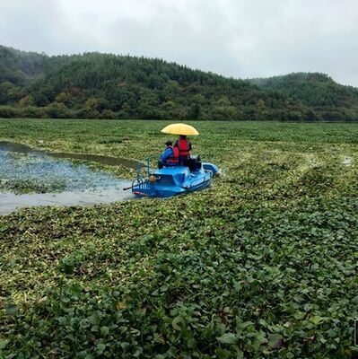 Diesel Powered Aquatic Weed Harvester with 10m Dredging Depth and 4000m2/h Cutting Area for Efficient Waterway Maintenance