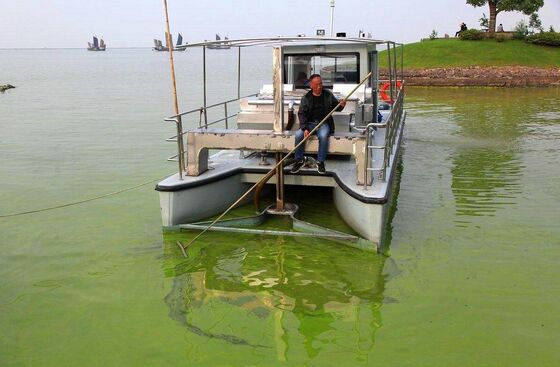 Automatic 4 Row Submerged Aquatic Weed Harvester with 50 - 110 HP Diesel Engine