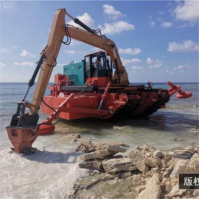 Track Type Amphibious Excavator with 1 Year Warranty 20t Weight and 40 Inch Draught